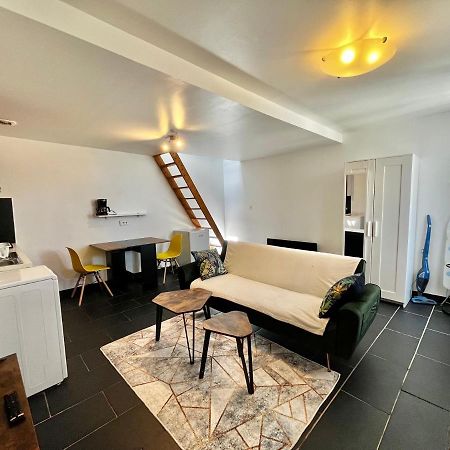 Studios Au Quartier Pavillonnaire Rue D Ambert Орлеан Экстерьер фото
