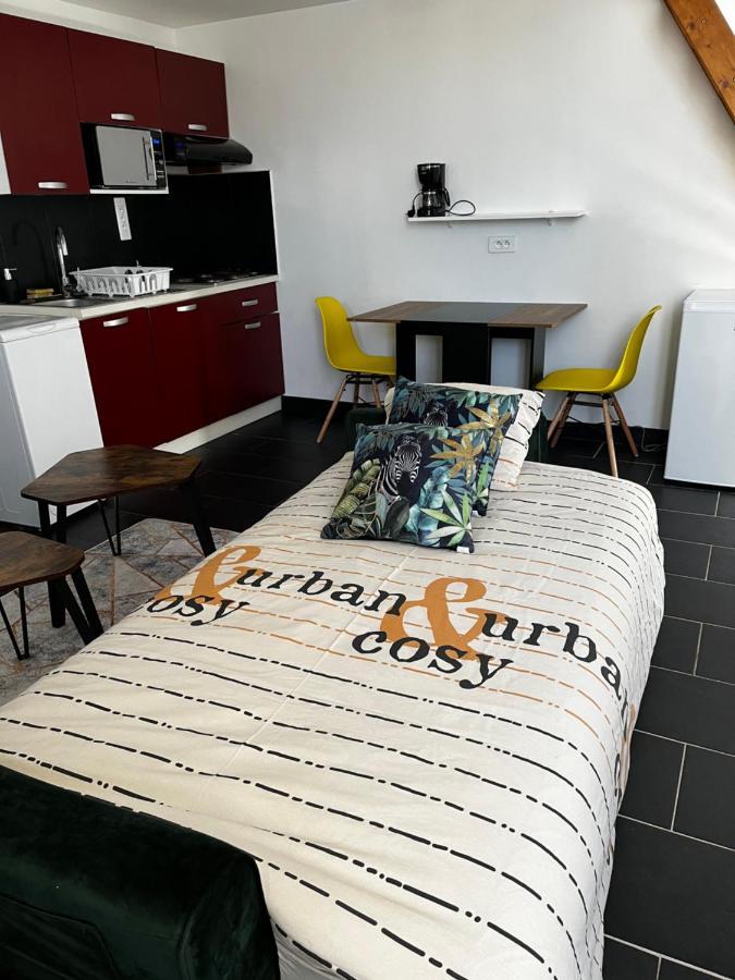 Studios Au Quartier Pavillonnaire Rue D Ambert Орлеан Экстерьер фото